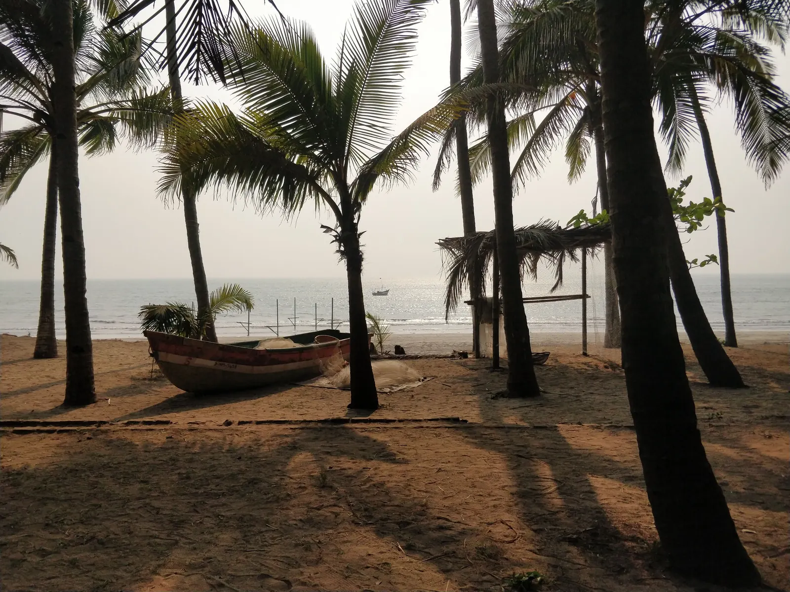 A wooden boat under coconut palms on Alibag beach