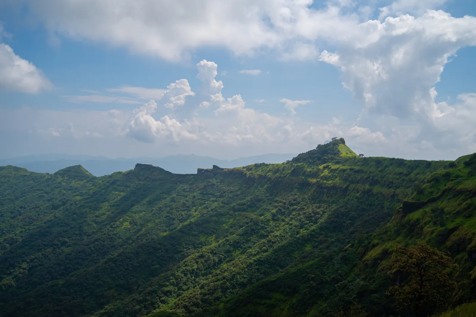 Rajgad fort above the Sahyadri forest